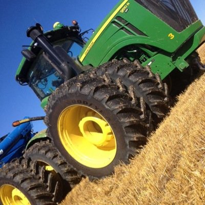 MichaelrbfGross's profile picture. 