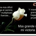 Eva Vidales - @diaz6439 - Twitter