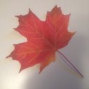 Greg Walker - @Mr_G_Walker - Twitter