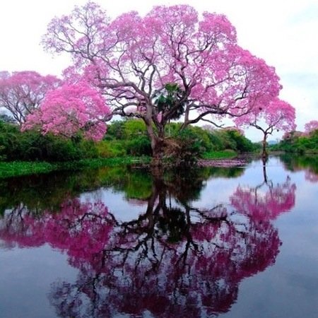 loves God and nature
