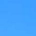 Twitter 프로필 이미지