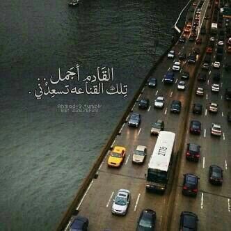 awad401's profile picture. 