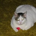 toni pack - @tonipack1 - Twitter