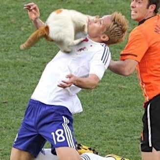 Wet_cats's profile picture. The official twitter account of the Wet Catz futsal team!