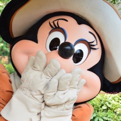 minniee_pika's profile picture. ぴかです。ディズニーがだいすき。特にミニーちゃんとアンバサダーホテルがすきです。好きなたべものはアイスクリームです。好きな色はピンク。タグでレポ #FTW #アンバ