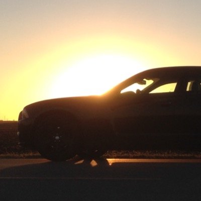 AppulseUS's profile picture. 