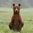 DarrylDeboer's profile image