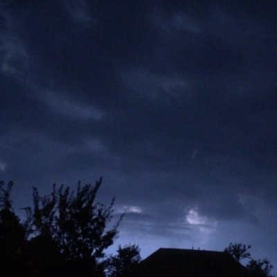 tidalwords's profile picture. -