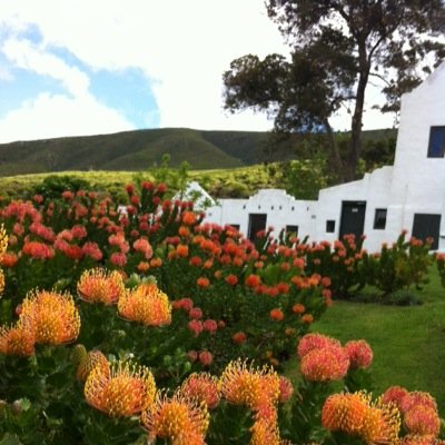 Retreat Centre • Sanctuary • Guest Lodge