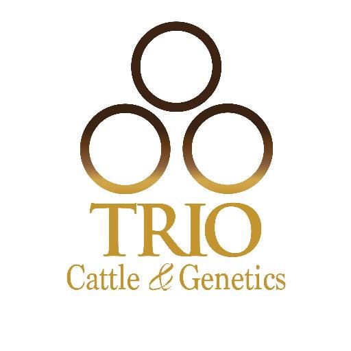 TRIO Cattle & Genetics breeds, produces and markets world class Red and Black Brangus. Follow us to shows, sales and every day activites at home.