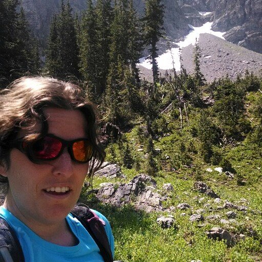 dustandbones's profile picture. .