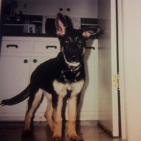 Eric Binkley (@eabdelta7) 's Twitter Profile Photo