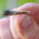 PA LA KRA LA TUKA PA LA GULA LA TUKA //FUMANDO TUKITAS DESDE TIEMPOS INMEMORABLES// MANIJAS 24/7