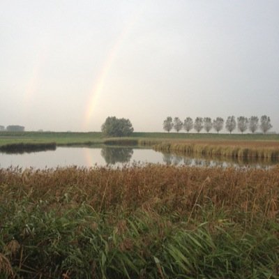 2011JAZZZ's profile picture. 