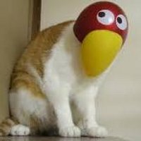 どすくん (@dosukun37) 's Twitter Profile