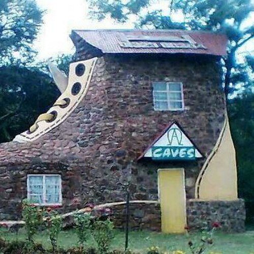 RibathaboRiba's profile picture. Live your life no matter what