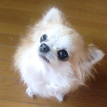 毎日のんびり生活してます。