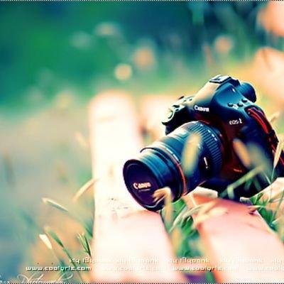 772955595ab24d8 Profile Picture