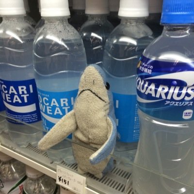 趣味は私の全て！ ちっぽけな世界を斜めから見下しピアノと戯れる毎日 ロードバイク 艦これ プラモデル(頑張る) wot wt サバゲ 銃 小説 アニメ お絵かき等々好きな方語りましょう！ フォロー気軽にどーぞ