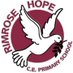 Rimrose Hope (@rimrosehope) Twitter profile photo Rimrose Hope (@rimrosehope) Twitter profile photo