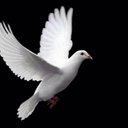 اسير الغرام (@2389e6c23ec74b2) Twitter