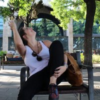 Ana Lería (@srtascarlata) 's Twitter Profile