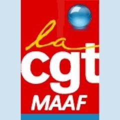 MAAF