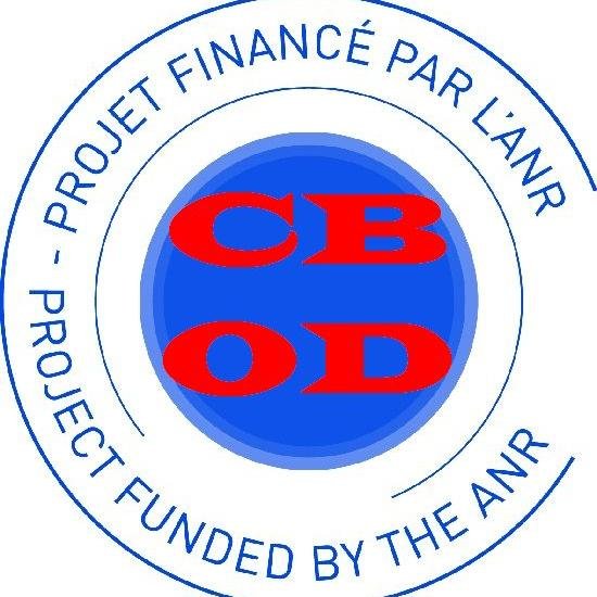CBOD: Cloud-based Organizational Design. ANR project on #CloudComputing and #OrganizationalDesign