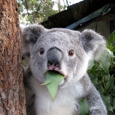 Hey!