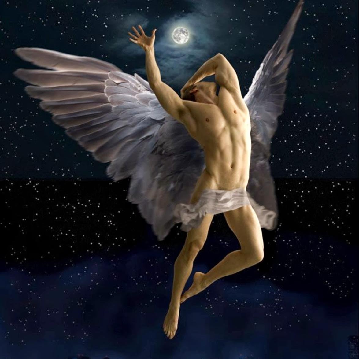 meninunderwear1's profile picture. 