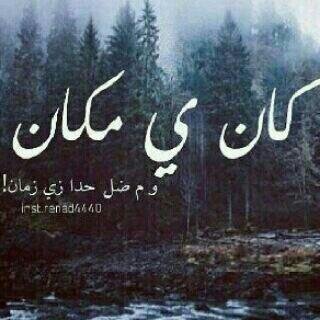 accRRcc's profile picture. 