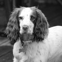 Benjamin Cardy - @BenjaminCardy - Twitter