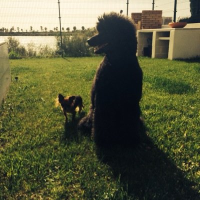 BaguiraJesus's profile picture. 