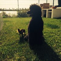 Maria baguira (@baguirajesus) 's Twitter Profile