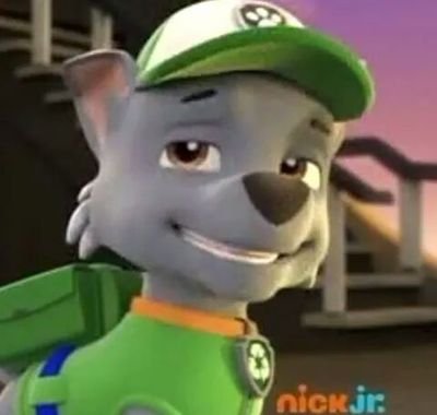 Hi I'm Rocky the recycling pup I have no owner yet but green means go ! best friend: @night_leaf_cat #single
