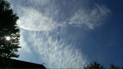 qpemfhakstp's profile picture. 감정은 자유지만 
감정을 표현하는 방법에는 옳고 그름이 있고
감정을 표현하는것에는 책임이 따르니 
함부로 말하거나 행동하지마라