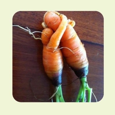 SFCannock's profile picture. 28 Queen Street Chasetown Cannock WS74QH #SimplyLocal