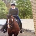 Paula Briggs - @BriggsPaula - Twitter