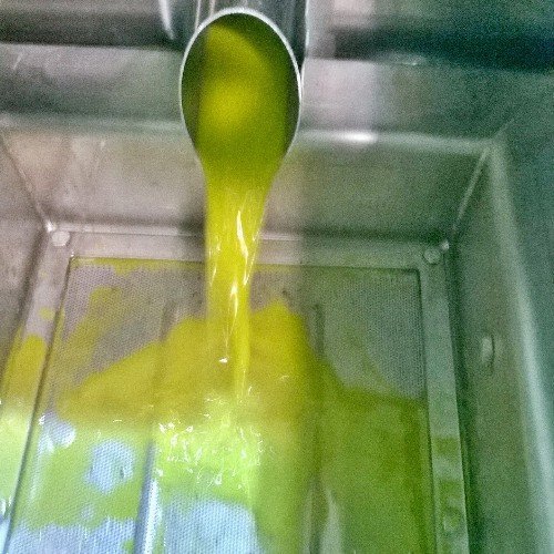 Contract Processor .. 
Master miller of two individual groves and a contract processing plant . Running a variety of centrifuges .