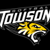 Towson Softball (@towsonsoftball) Twitter profile photo
