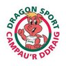DragonSport_FPS's profile picture. The Dragon Sport programme in Flintshire aims to get every child aged 7-11 hooked on sport for life!