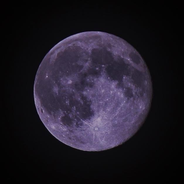 aquariusmamma's profile picture. 