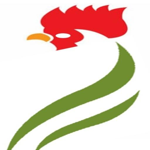 JagoFX's profile picture. 