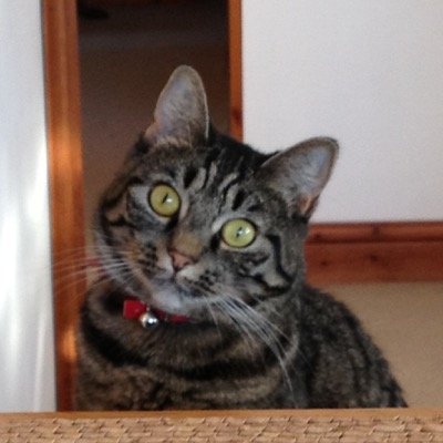 Angelindysgys's profile picture. 