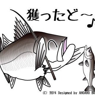 bass_43 Profile Picture
