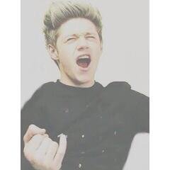 ♡ you complete me(ss) ♡                                                          niall's da bae