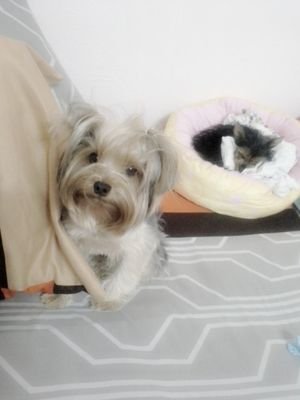 por_ann's profile picture. 