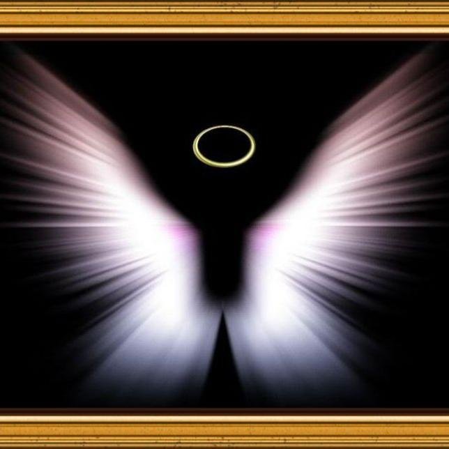 chimegt_oyu's profile picture. Та бидний орчлон ганцхан шүү. Зоргоор олддоггүй амьдралаа хайрлаарай.