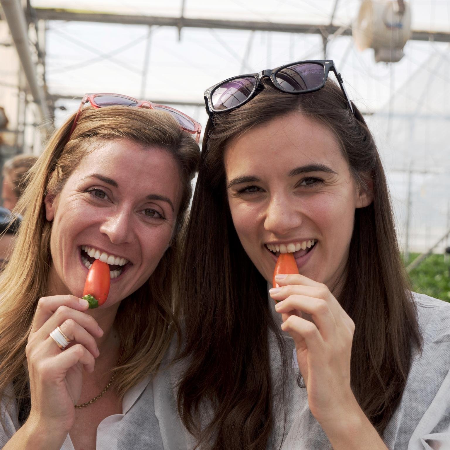 Spanish Graduate working in all things food & drink @TheImpactAgency