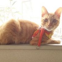 aprilaegeansea (@aprilaegeansea) 's Twitter Profile Photo